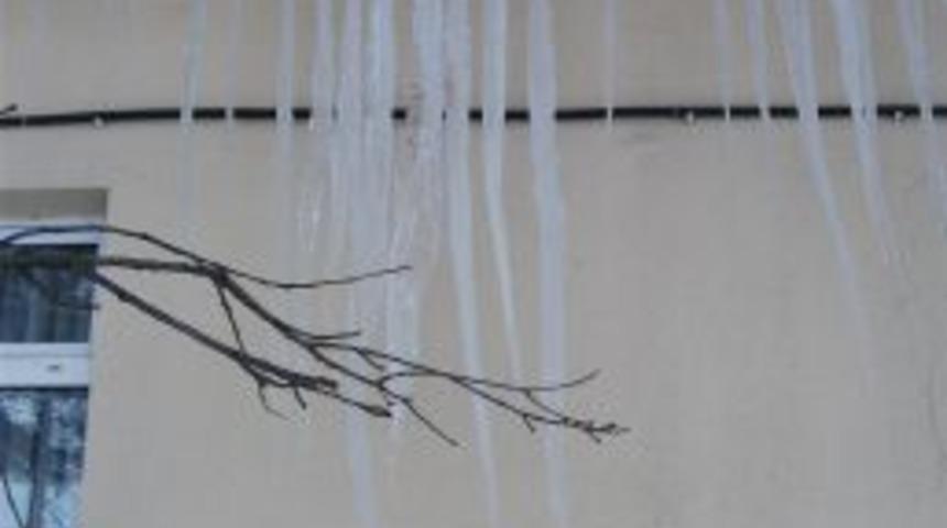 Eflani, Beyaza B&uuml;r&uuml;nd&uuml;