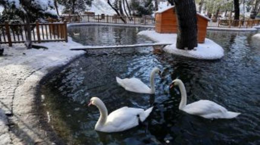 Ankara'dan Kar Manzaraları