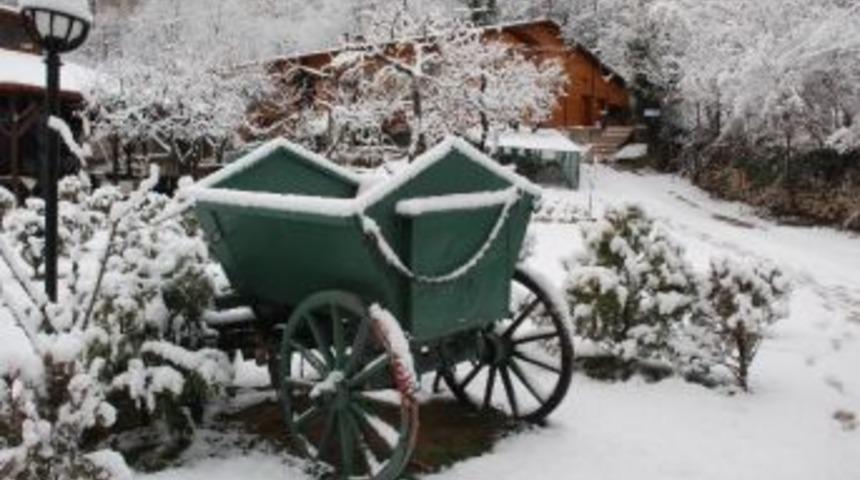 Tokat Beyaza B&uuml;r&uuml;nd&uuml;