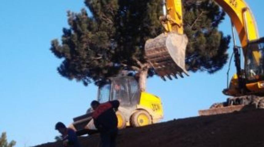 Belediye&rsquo;den Toki&rsquo;ye &Ccedil;evre D&uuml;zenlemesi