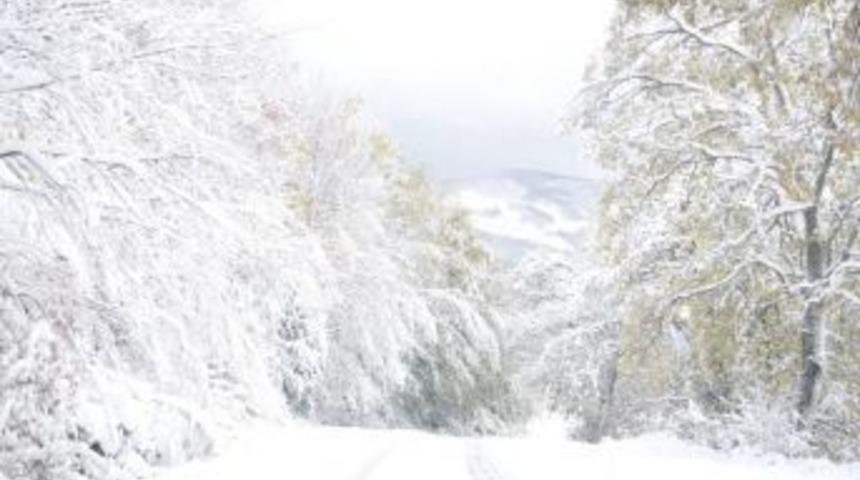 Zonguldak'ta Kar Manzaraları