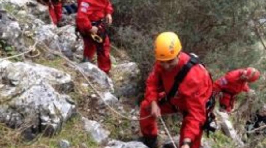 Akut Kuşadası Ekibinden Koyun Operasyonu