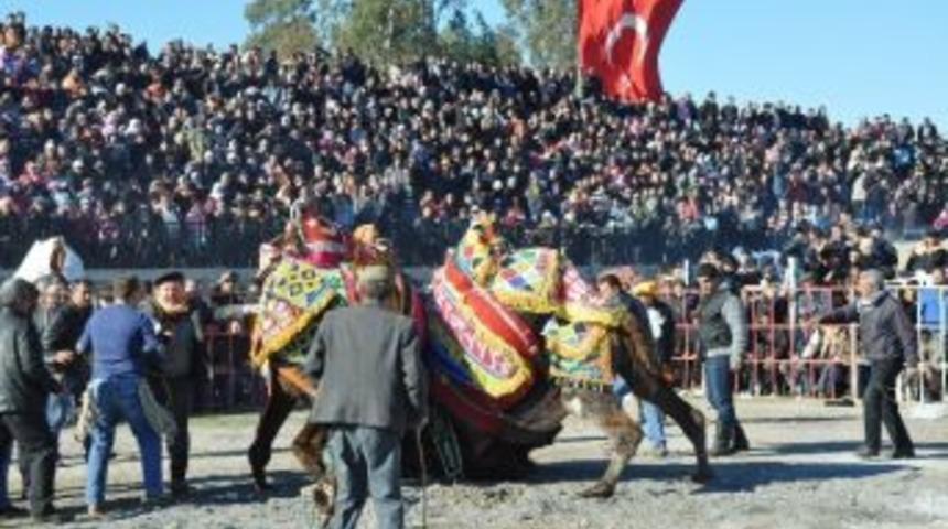 Develer Spor Yararına Güreşti