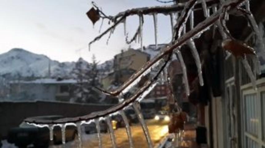 G&uuml;m&uuml;şhane Buz Tuttu