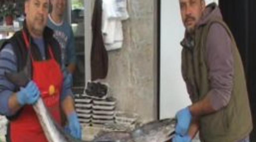 Marmaris&rsquo;te Orkinos Bereketi