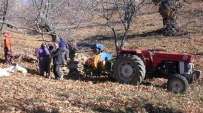 Kestanelerin Pazar Yolculuğu Başladı