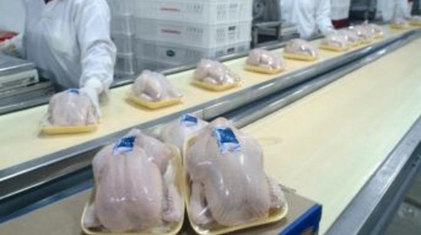 Kanatlı Sekt&ouml;r&uuml; İhracatta 1 Milyar Doları Ge&ccedil;ecek