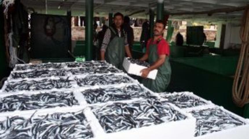 Balığın Kulağına Kar Suyu Ka&ccedil;tı