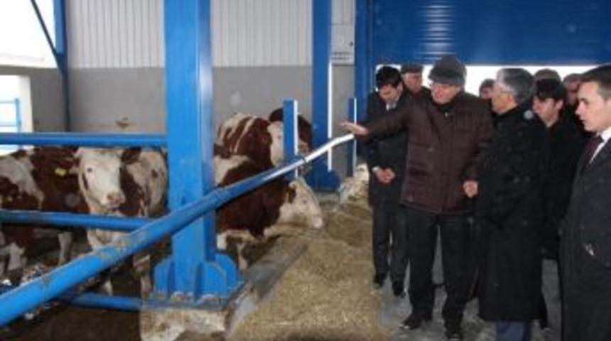 &Ccedil;ankırı'ya 15 Milyon Euroluk Yatırım