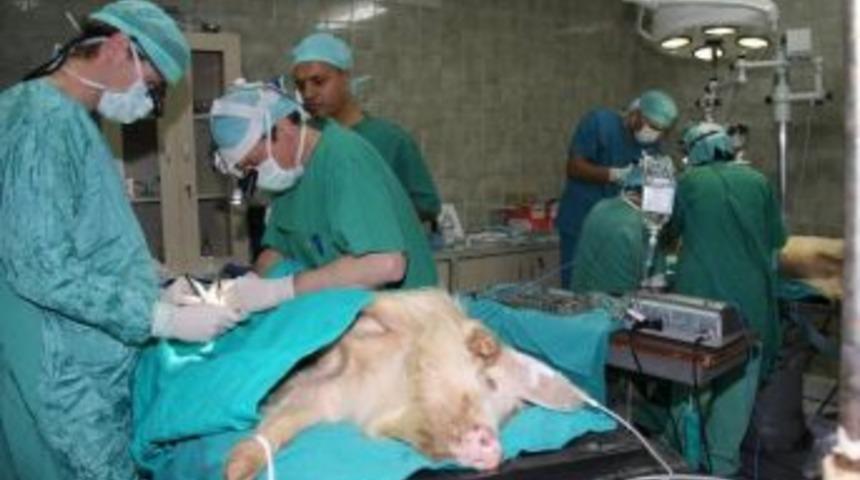 Estetik Cerrahisinde Yeni Umut