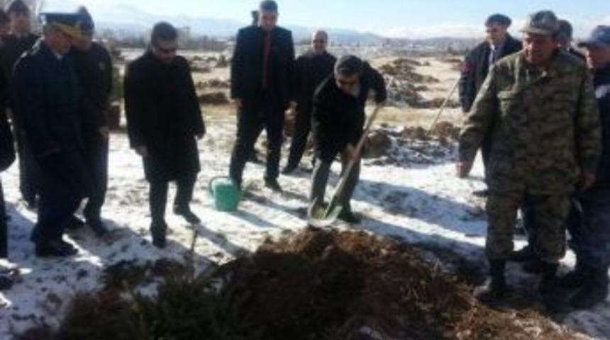 Kayseri&rsquo;de 3 Milyon Fidan Hedefine Ulaşıldı