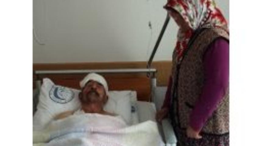 Kayıp Koyununu Ararken K&ouml;peklerin Saldırısına Uğradı