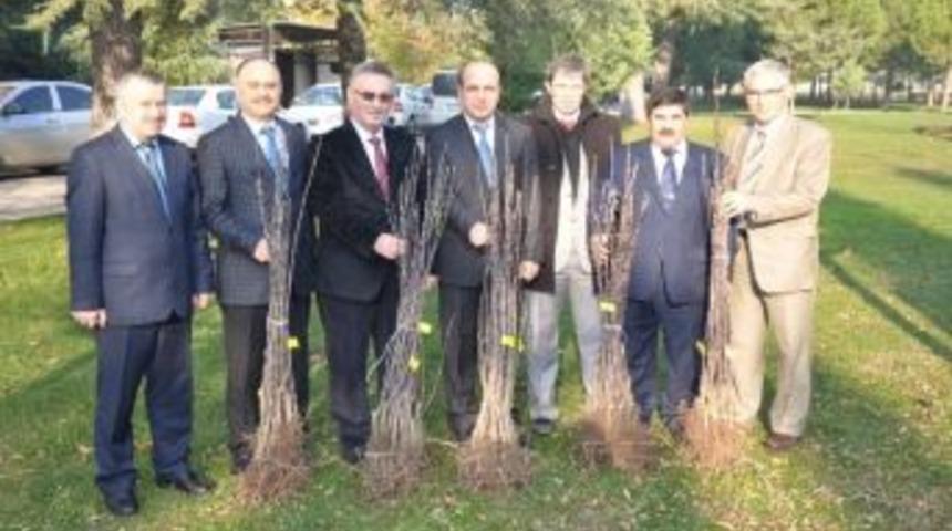 Demircili &Ccedil;ift&ccedil;ilere 3 Bin Adet Elma Fidanı Dağıtıldı