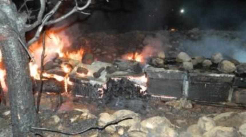 Bozyazı&rsquo;da 30 Arı Kovanı İ&ccedil;indeki Arılarla Birlikte Yandı