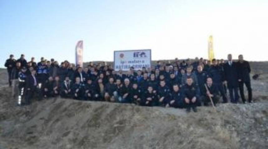 Malatya&rsquo;da Ipa Ormanı Kuruldu