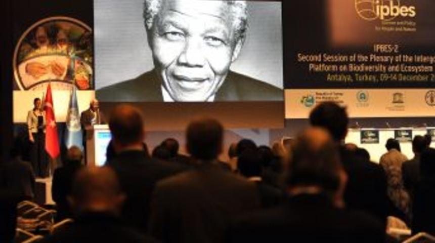 IPBES, Bio&ccedil;eşitlik Kaybının &Ouml;n&uuml;ne Ge&ccedil;ecek