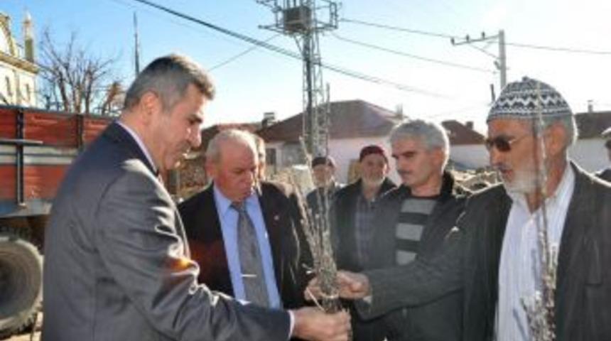 Demirci'de &Ccedil;ift&ccedil;ilere 3 Bin Elma Fidanı Dağıtıldı