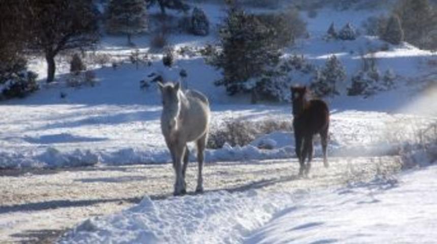 Karab&uuml;k&rsquo;te K&ouml;y Yolları Ulaşıma A&ccedil;ılıyor