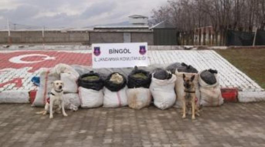 Bing&ouml;l&rsquo;de 239 Kilogram Esrar Ele Ge&ccedil;irildi