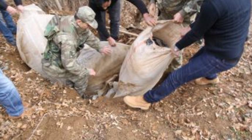 Bing&ouml;l'de 240 Kilogram Uyuşturucu Ele Ge&ccedil;irildi