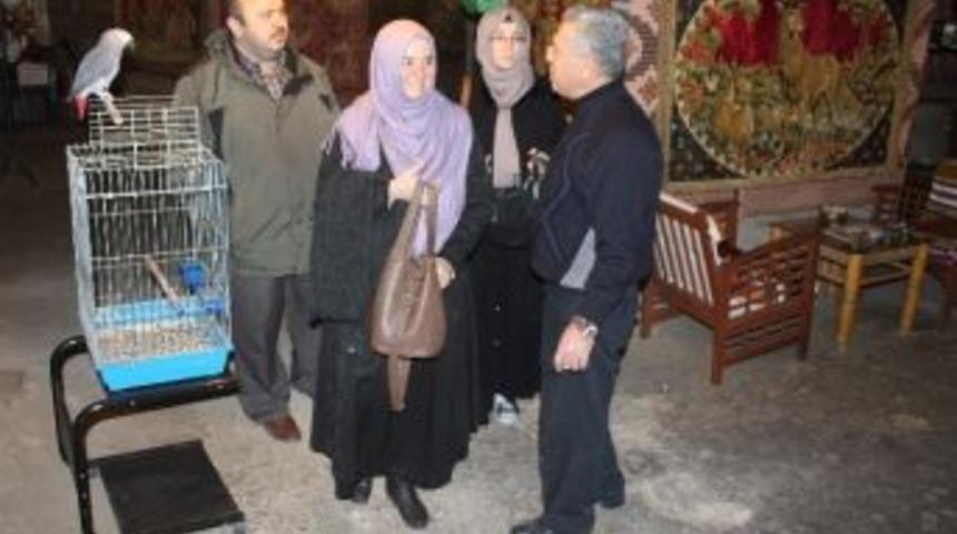 (&ouml;zel Haber) Doğal Klimalı Kaleoğlu Mağarası Şaşırtıyor