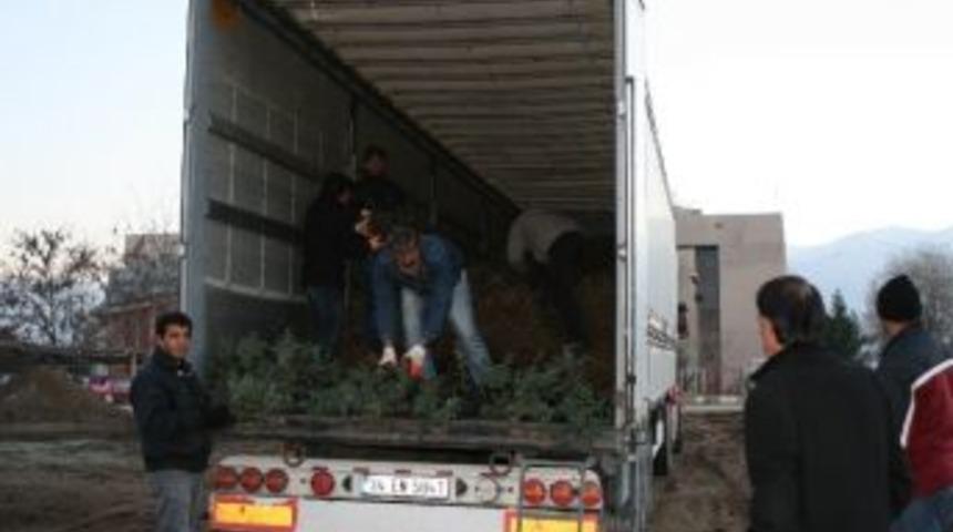 Bitki Parkında &Ccedil;i&ccedil;ek Ve Ağa&ccedil; Fideleri Yetiştiriliyor