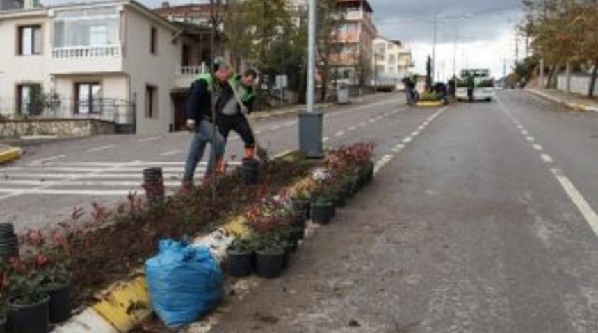 Başiskele'de Ref&uuml;j Bitkilerine Bakım