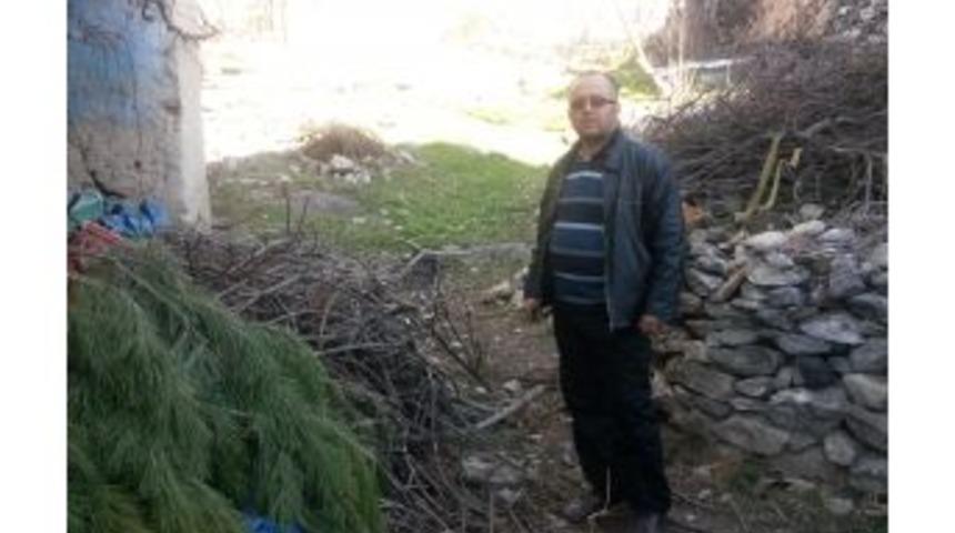 İl&ccedil;e Merkezine Inen Kurtlar Bir Koyunu Par&ccedil;aladı, 2 Koyunu Da Yaraladı