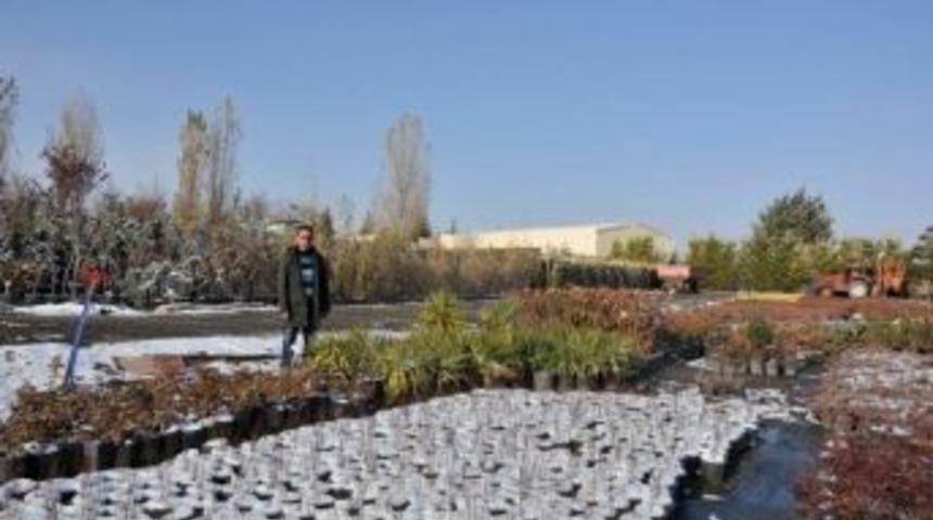 Sel&ccedil;uk &Uuml;niversite Kendi Bitkisini Kendisi &Uuml;retiyor