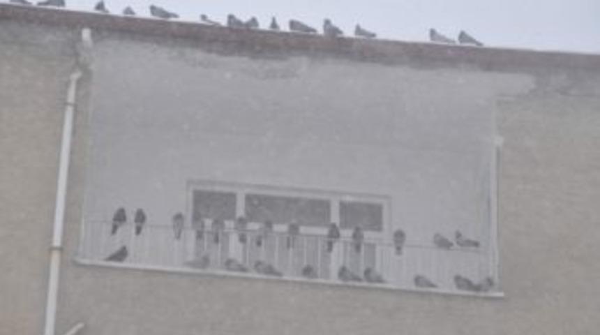 Yozgat G&uuml;ne Karla Uyandı