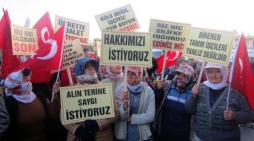 Tarım Iş&ccedil;ilerinden D&uuml;ş&uuml;k &Uuml;cret Protestosu