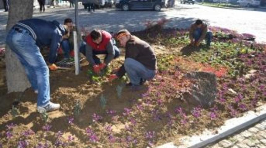 Kula'da &Ccedil;i&ccedil;eklendirme &Ccedil;alışmalarına Tamgaz