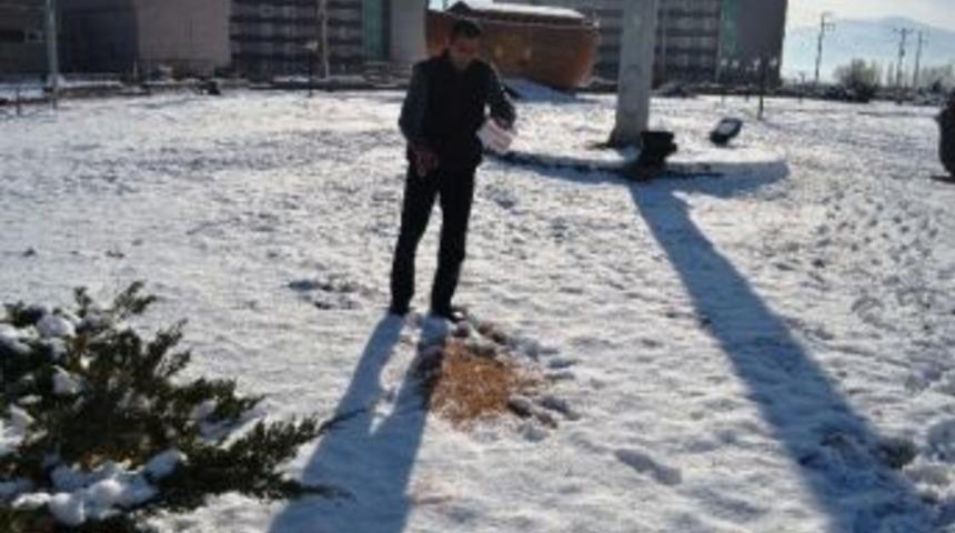 Iğdır'da Parklara Kuşlar İ&ccedil;in Yem Bırakıldı