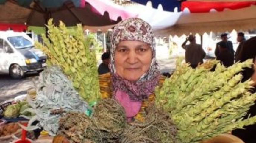 Bigadi&ccedil;li&rsquo;te Ot Satarak 3 &Ccedil;ocuğunu Okuttu