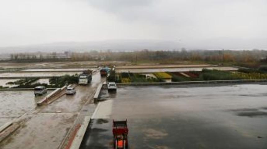 T&uuml;rkiye&rsquo;nin Ilk 'Fidan Borsası' A&ccedil;ılıyor