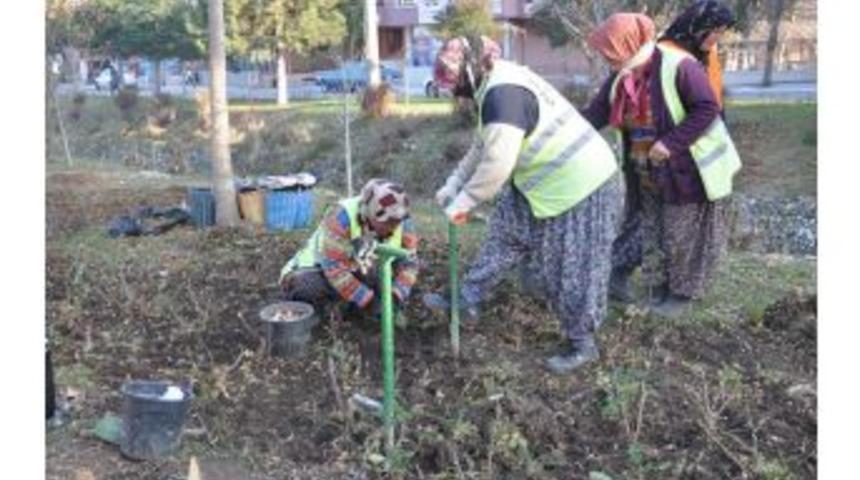 Isparta Ilkbahara Hazırlanıyor