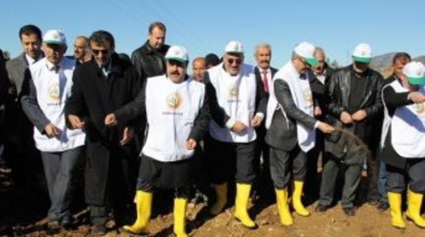 Arılara Bal Ormanı, Kuşlara Sıcak Yuva