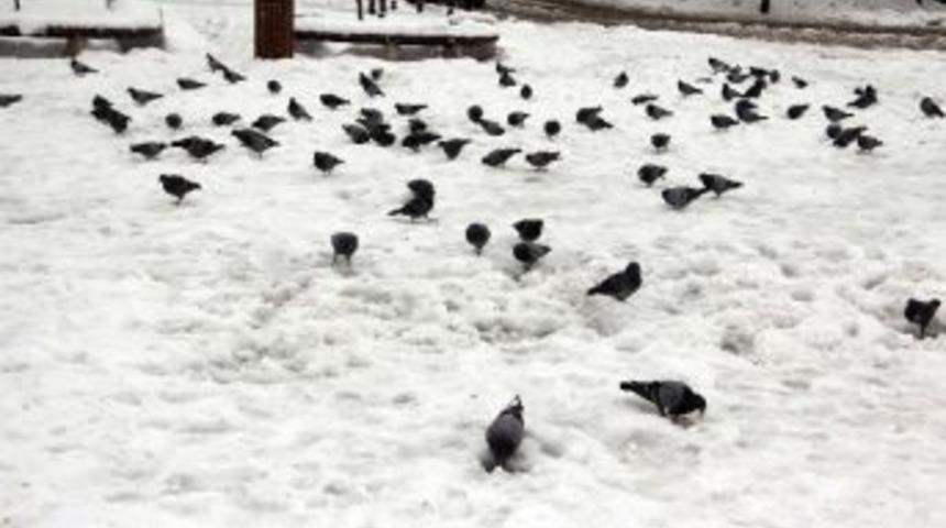 Karab&uuml;k'te Kar Esareti S&uuml;r&uuml;yor