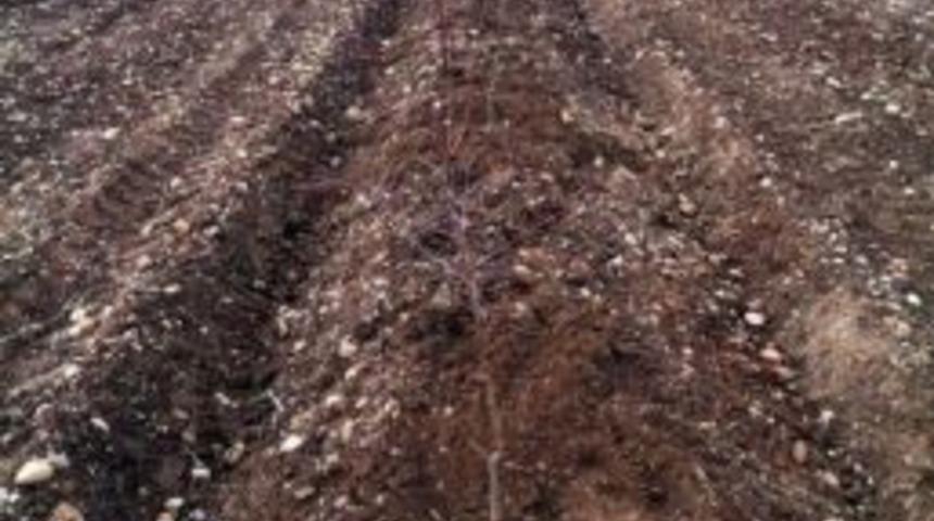 Irgatlığa Darbe Vuracak Bir Proje Hayata Ge&ccedil;iriliyor