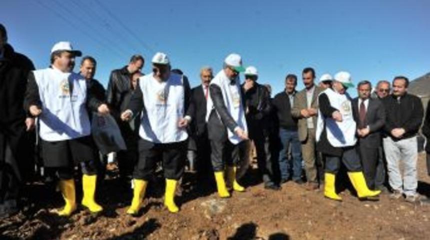 Osmaniye&rsquo;de Bal Ormanı Kuruldu