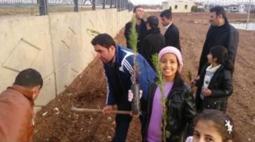 &ldquo;yarınlara Bir Fidan&rdquo; Projesi Kapsamında Ağa&ccedil; Dikildi