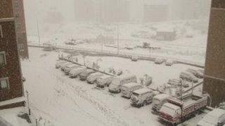 Trabzon'a Yılın İlk Karı Yağdı