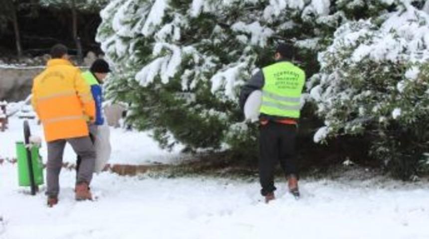 Tekkek&ouml;y Belediyesi Hayvanları Unutmadı