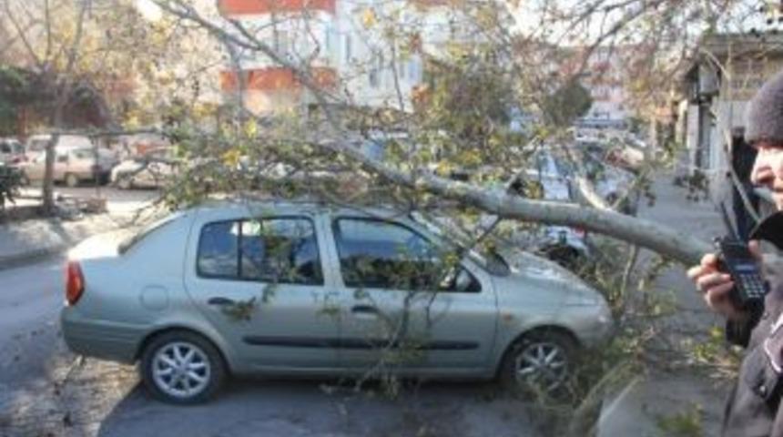 &Ccedil;anakkale&rsquo;de Otomobilin &Uuml;zerine Ağa&ccedil; Devrildi