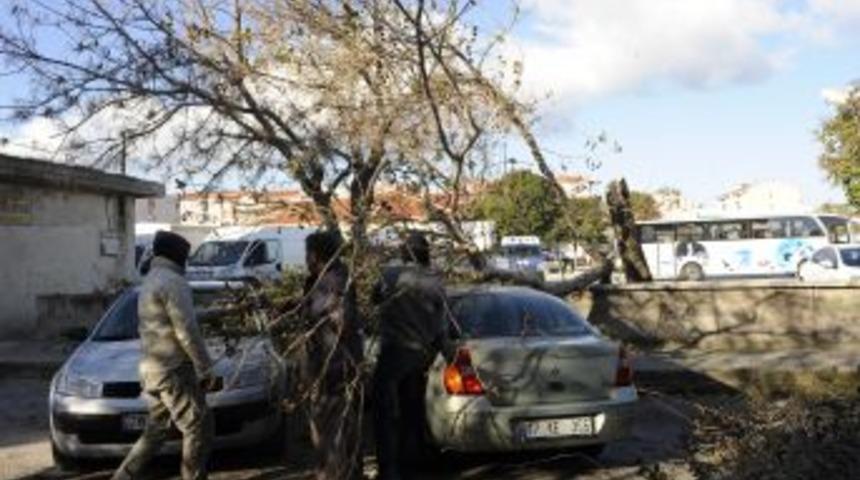 Çanakkale'deki Fırtınada Arabanın Üzerine Ağaç Evrildi