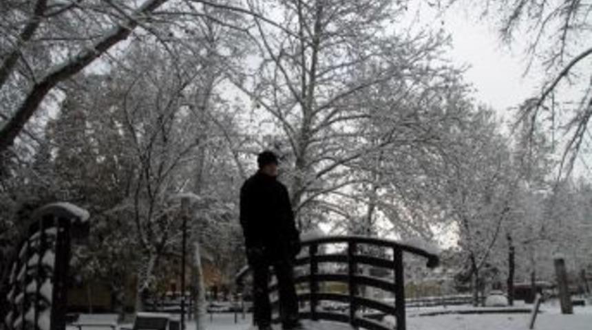 Bursa Beyaza B&uuml;r&uuml;nd&uuml;