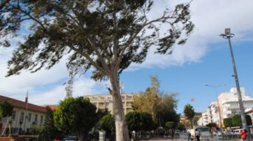 Fırtına Manavgat'ta Hayatı Olumsuz Etkiliyor