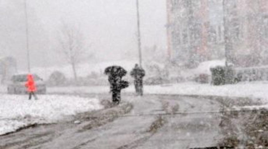 Yalova'da Tipi &Ccedil;atı U&ccedil;urdu