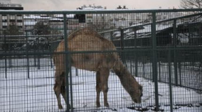 Samsun'da 313 K&ouml;y Yolu Ulaşıma Kapandı
