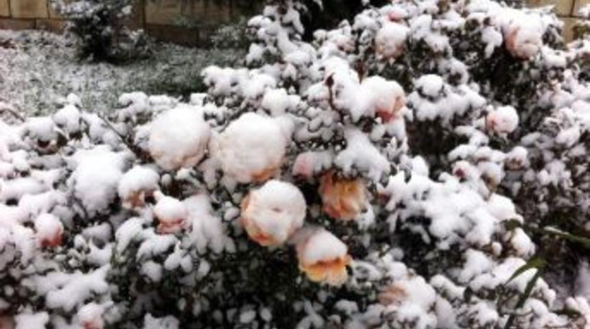 Adıyaman Kent Merkezi Beyaza B&uuml;r&uuml;nd&uuml;